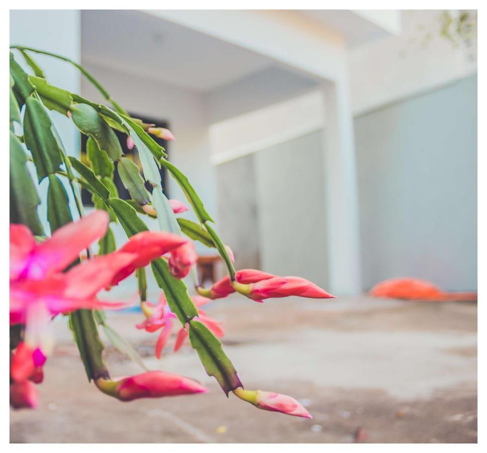 Casa De Mae - Aqui Em Foz Sempre Cabe Mais Um! *